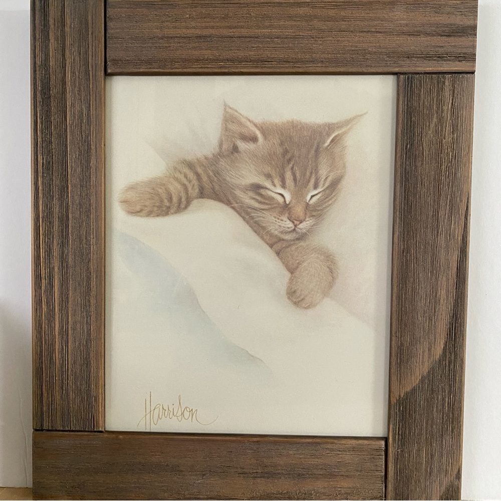 Vintage Bob Harrison Print Of A Sweet Kitten Sleeping named “Innocence”